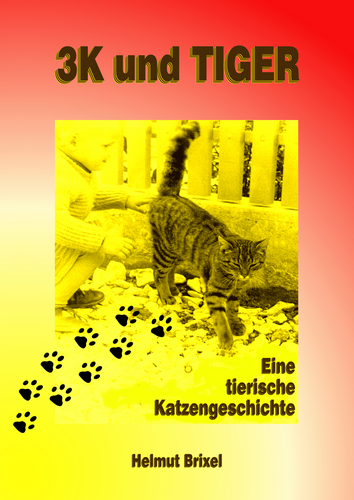 Titelbild von 3K und TIGER