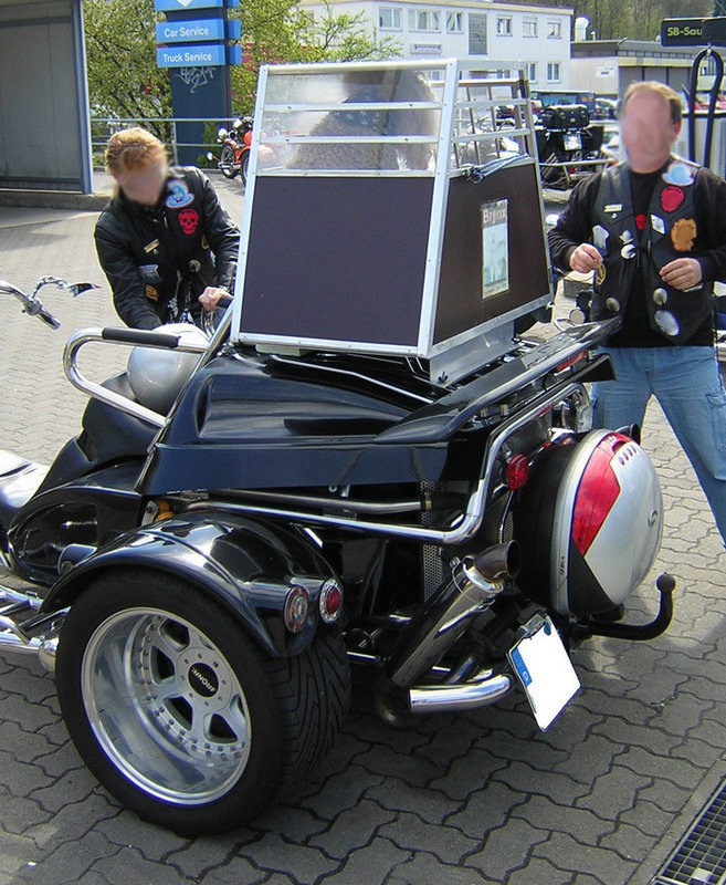 Trike mit Hundekorb